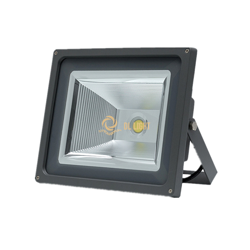 50W led outside flood lights with best price-DLFL023
