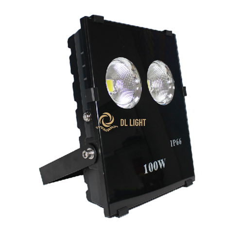 100W dual flood light-DLFL107